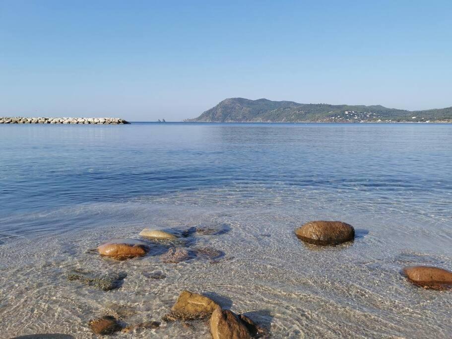 Petit Paradis Classe 3 Etoiles A 200M De La Plage! Terrasse-Wifi-Parking-Clim サン・マンドリエ・シュル・メール エクステリア 写真
