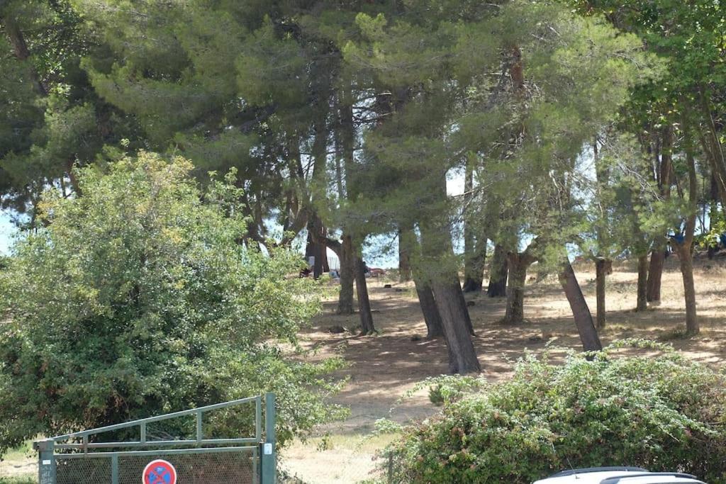 Petit Paradis Classe 3 Etoiles A 200M De La Plage! Terrasse-Wifi-Parking-Clim サン・マンドリエ・シュル・メール エクステリア 写真
