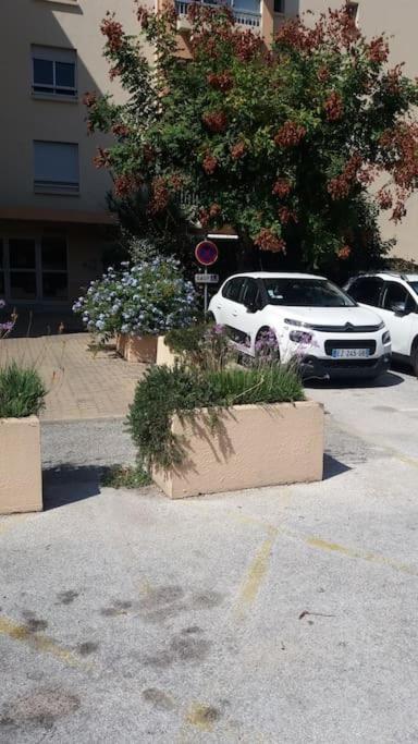 Petit Paradis Classe 3 Etoiles A 200M De La Plage! Terrasse-Wifi-Parking-Clim サン・マンドリエ・シュル・メール エクステリア 写真