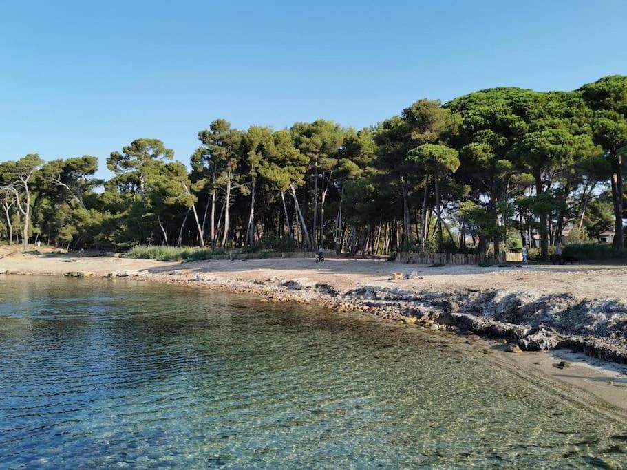 Petit Paradis Classe 3 Etoiles A 200M De La Plage! Terrasse-Wifi-Parking-Clim サン・マンドリエ・シュル・メール エクステリア 写真