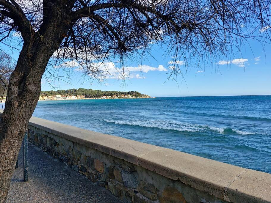 Petit Paradis Classe 3 Etoiles A 200M De La Plage! Terrasse-Wifi-Parking-Clim サン・マンドリエ・シュル・メール エクステリア 写真